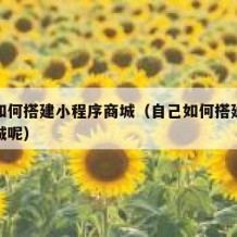 自己如何搭建小程序商城（自己如何搭建小程序商城呢）