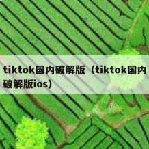 tiktok国内破解版（tiktok国内破解版ios）