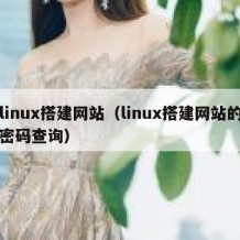 linux搭建网站（linux搭建网站的密码查询）