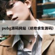 pubg源码网站（绝地求生源码）