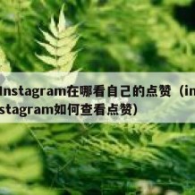 Instagram在哪看自己的点赞（instagram如何查看点赞）