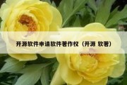 开源软件申请软件著作权（开源 软著）