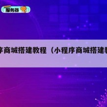 小程序商城搭建教程（小程序商城搭建教程下载）