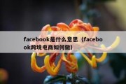 facebook是什么意思（facebook跨境电商如何做）