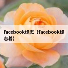 facebook标志（facebook标志着）