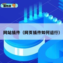 网站插件（网页插件如何运行）