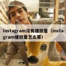 instagram没有播放量（instagram播放量怎么算）