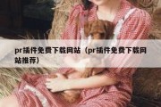 pr插件免费下载网站（pr插件免费下载网站推荐）