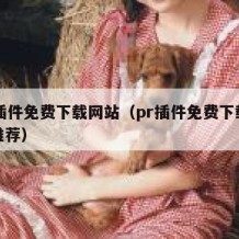 pr插件免费下载网站（pr插件免费下载网站推荐）