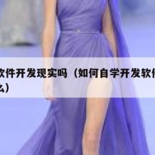 自学软件开发现实吗（如何自学开发软件需要学什么）