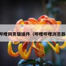 哔哩哔哩网页版插件（哔哩哔哩浏览器插件）