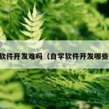 自学软件开发难吗（自学软件开发哪些书籍）