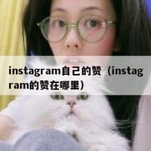 instagram自己的赞（instagram的赞在哪里）