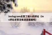 instagram点赞了别人的评论（ins评论点赞没有消息提醒吗）