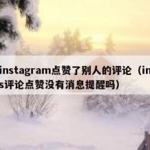 instagram点赞了别人的评论（ins评论点赞没有消息提醒吗）