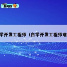自学开发工程师（自学开发工程师难吗）