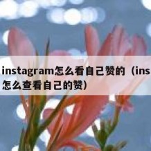 instagram怎么看自己赞的（ins怎么查看自己的赞）