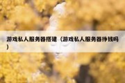 游戏私人服务器搭建（游戏私人服务器挣钱吗）