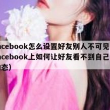 facebook怎么设置好友别人不可见（facebook上如何让好友看不到自己的动态）