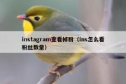 instagram查看掉粉（ins怎么看粉丝数量）