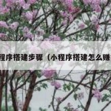 小程序搭建步骤（小程序搭建怎么赚钱）