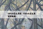 tiktok怎么发货（tiktok怎么发货到美国）