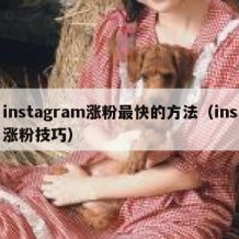 instagram涨粉最快的方法（ins涨粉技巧）