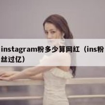 instagram粉多少算网红（ins粉丝过亿）