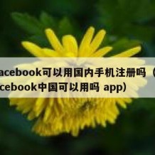 facebook可以用国内手机注册吗（facebook中国可以用吗 app）