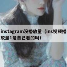 instagram没播放量（ins视频播放量1是自己看的吗）