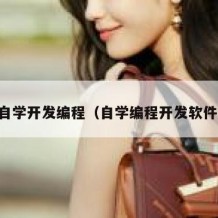 自学开发编程（自学编程开发软件）
