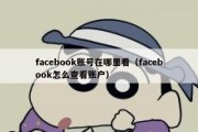 facebook账号在哪里看（facebook怎么查看账户）