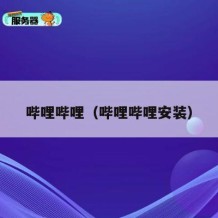 哔哩哔哩（哔哩哔哩安装）