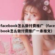 facebook怎么做付费推广（facebook怎么做付费推广一条推文）