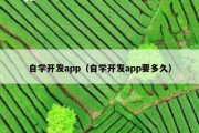 自学开发app（自学开发app要多久）