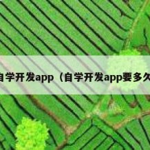 自学开发app（自学开发app要多久）