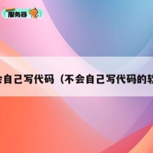 不会自己写代码（不会自己写代码的软件）