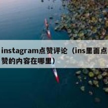 instagram点赞评论（ins里面点赞的内容在哪里）