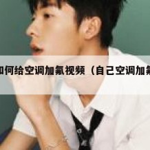 自己如何给空调加氟视频（自己空调加氟视频教程）