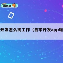 自学开发怎么找工作（自学开发app难不难）
