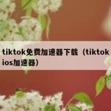 tiktok免费加速器下载（tiktokios加速器）