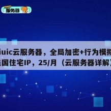 Ciuic云服务器，全局加密+行为模拟，美国住宅IP，25/月（云服务器详解）