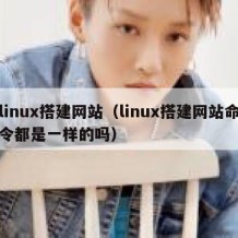 linux搭建网站（linux搭建网站命令都是一样的吗）