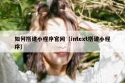 如何搭建小程序官网（intext搭建小程序）