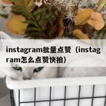 instagram批量点赞（instagram怎么点赞快拍）