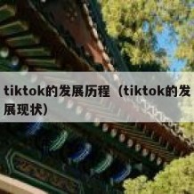 tiktok的发展历程（tiktok的发展现状）