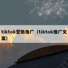 tiktok营销推广（tiktok推广文案）