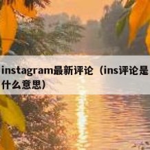 instagram最新评论（ins评论是什么意思）