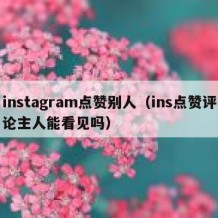 instagram点赞别人（ins点赞评论主人能看见吗）