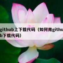 github上下载代码（如何用github下载代码）